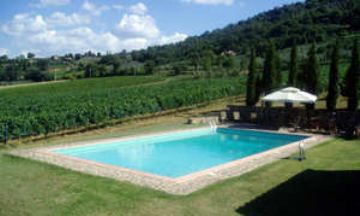 Montalcino, Tuscany, Vacation Rental House